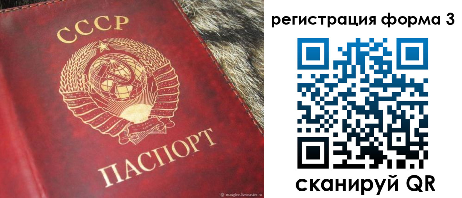 прописка регистрация в Новом Осколе